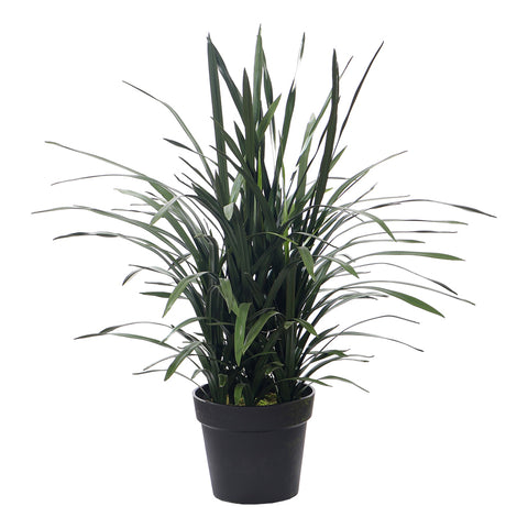 Potted Artificial Grass Plant 75cm Tall