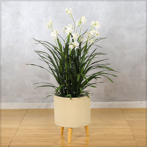 Artificial Allium Grass Plant With Fake Flower