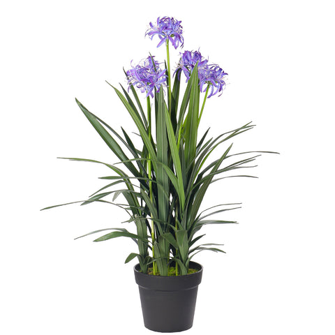 Artificial Agapanthus Plant 88cm Tall