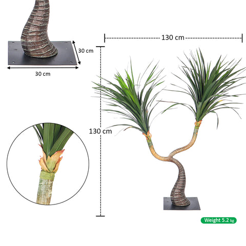Mini Desert Yucca Plant