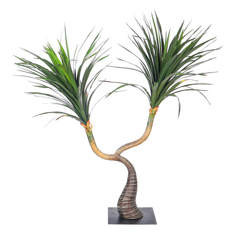 Mini Desert Yucca Plant