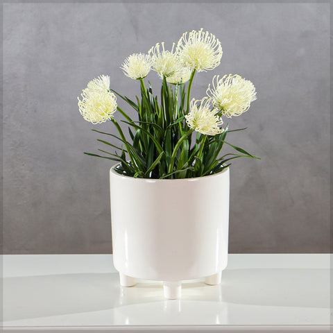 Artificial Faux Pincushion Flower Plant