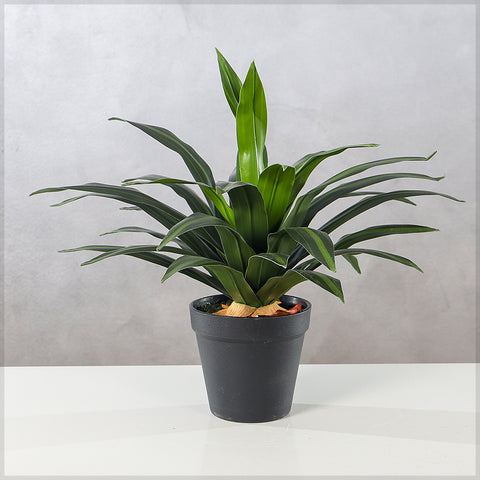 Artificial Dracaena Plants with Pot
