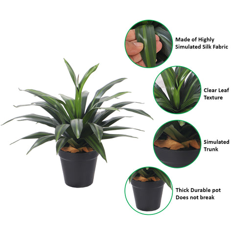 Artificial Dracaena Plants with Pot