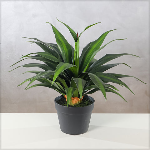 Artificial Dracaena Plants with Pot