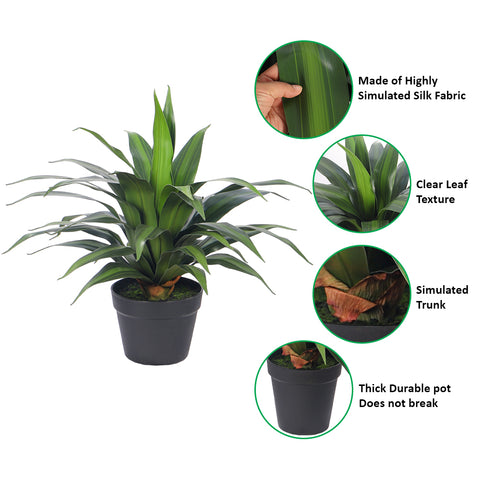 Artificial Dracaena Plants with Pot