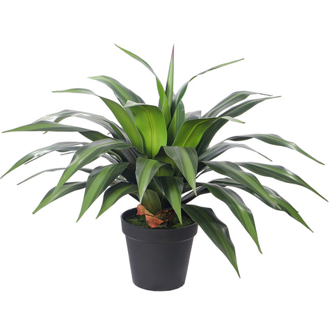 Artificial Dracaena Plants with Pot