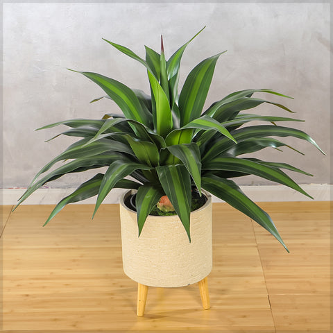 Artificial Dracaena Plants with Pot