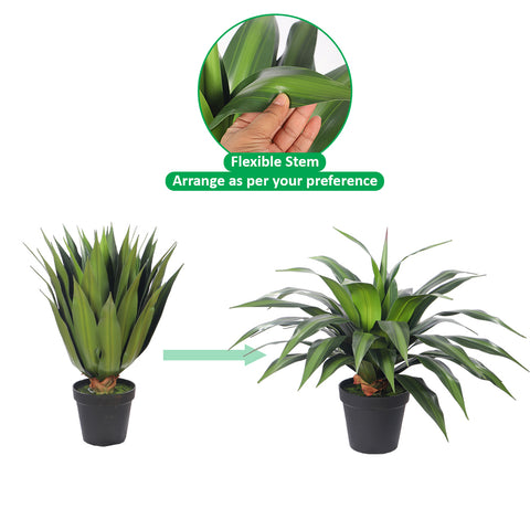 Artificial Dracaena Plants with Pot