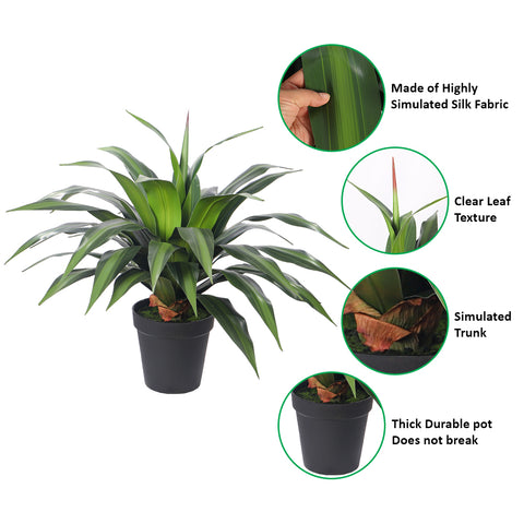 Artificial Dracaena Plants with Pot