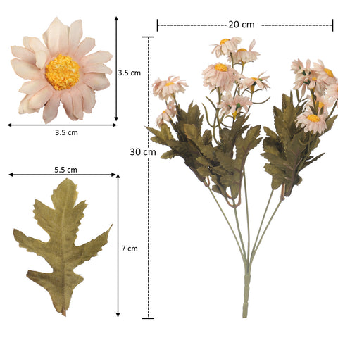 Daisy Flowers for Home