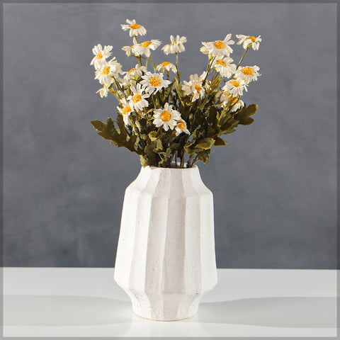 Indoor Mini Daisy Flowers