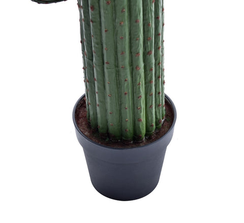 Tall Cactus
