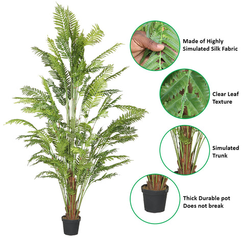 faux alsophila fern