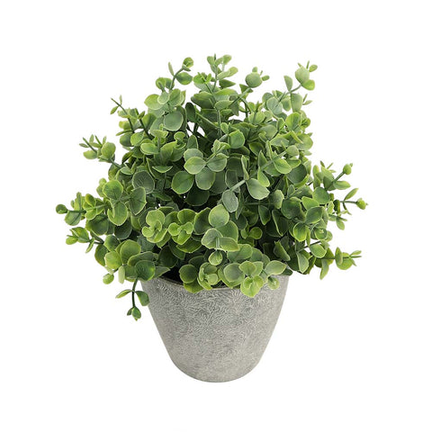 Artificial potted eucalyptus plant green