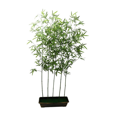 Bamboo decor stem