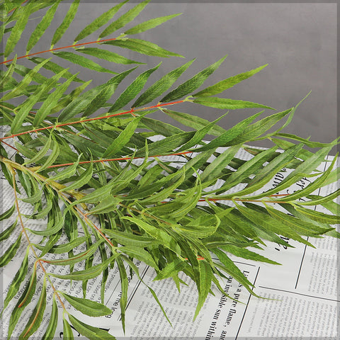 Palm leaf