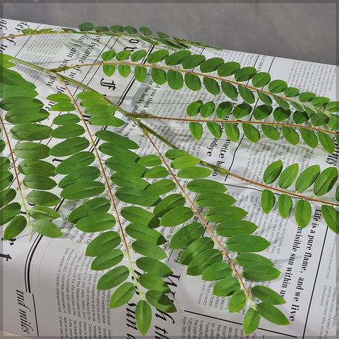 Faux acacia leaves