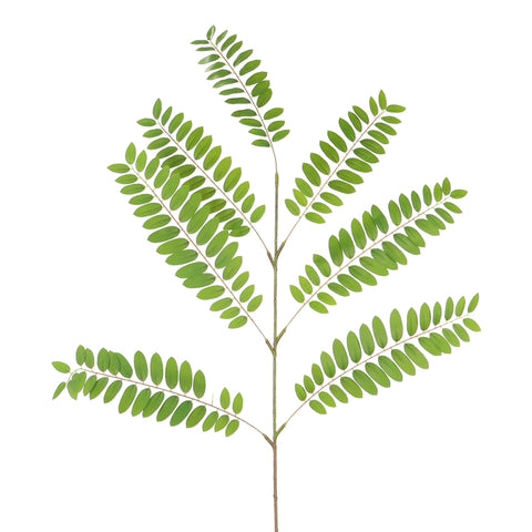 Artificial acacia leaves