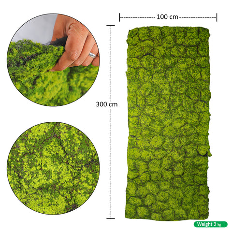 Moss wall hanging