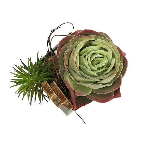 Artificial Succulent Plant for Home