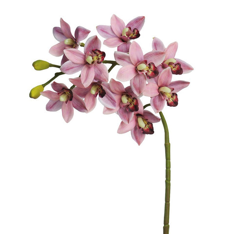3D Artificial Cymbidium Flowers