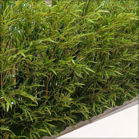 bamboo decor