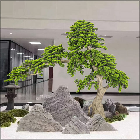 Bonsai plant for home
