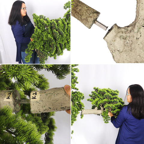 Faux bonsai indoor plant