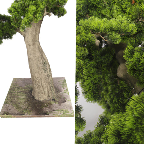 Decorative bonsai tree