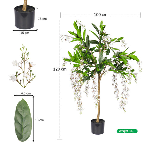 decorative jasmine