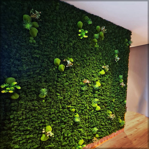 fresh moss wall art decoration