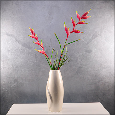 زهرة طيور الجنة الطبيعية تقريبًا