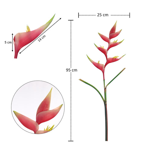 زهرة طيور الجنة الطبيعية تقريبًا