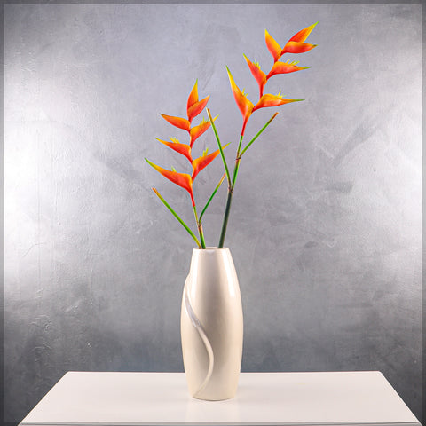 زهرة طيور الجنة الطبيعية تقريبًا