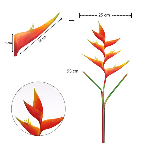 زهرة طيور الجنة الطبيعية تقريبًا