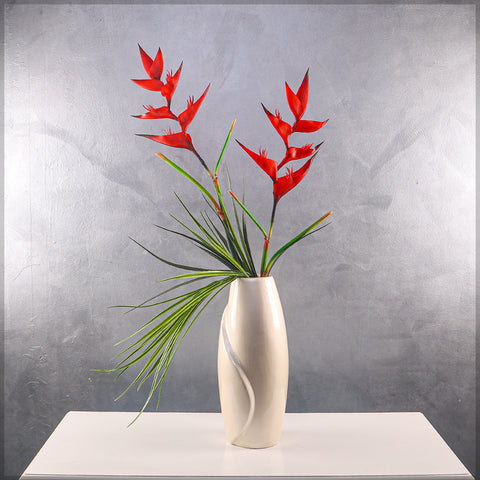 زهرة طيور الجنة الطبيعية تقريبًا