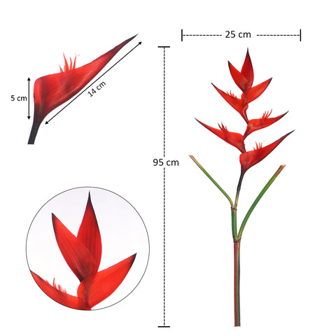 زهرة طيور الجنة الطبيعية تقريبًا