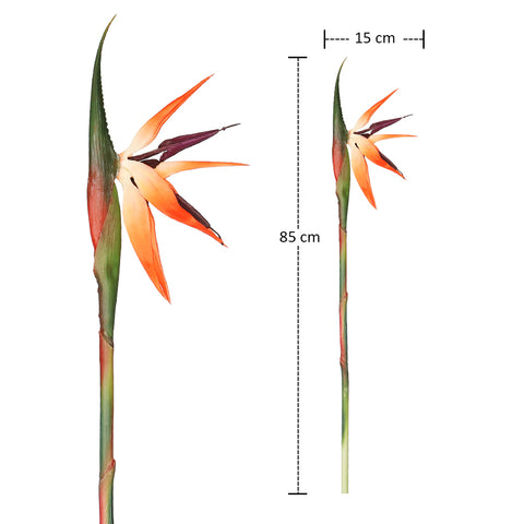 Artificial Bird of Paradise
