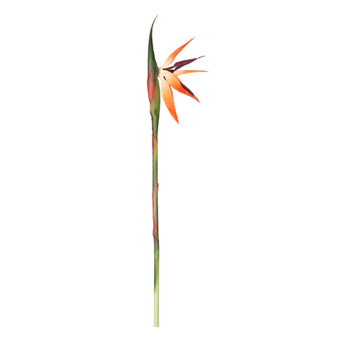 Artificial Bird of Paradise