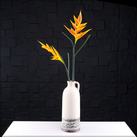 Silk bird of paradise