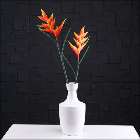 Bird of paradise stem