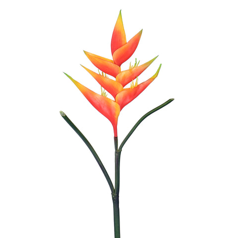 Fake bird of paradise stem