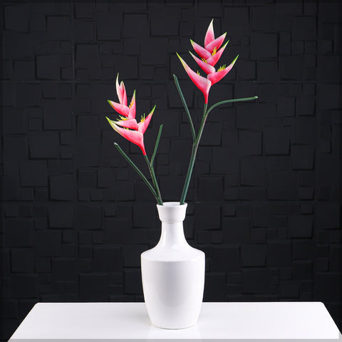 زهرة طيور الجنة الطبيعية تقريبًا