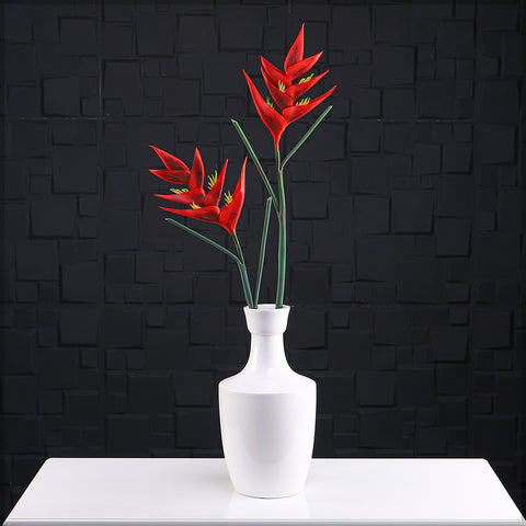 زهرة طيور الجنة الطبيعية تقريبًا