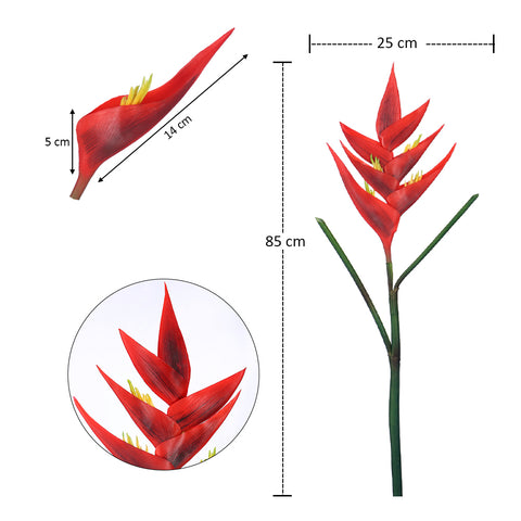 زهرة طيور الجنة الطبيعية تقريبًا