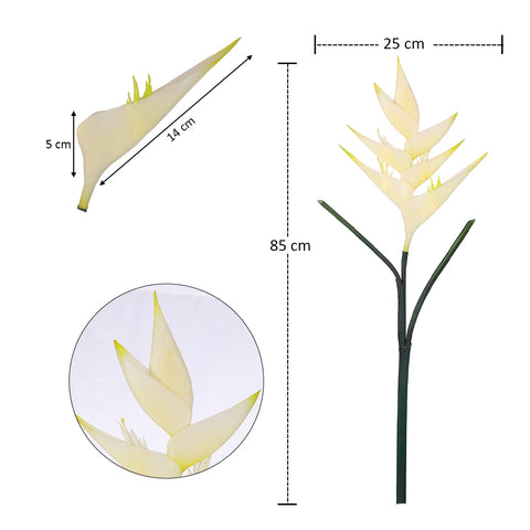 زهرة طيور الجنة الطبيعية تقريبًا