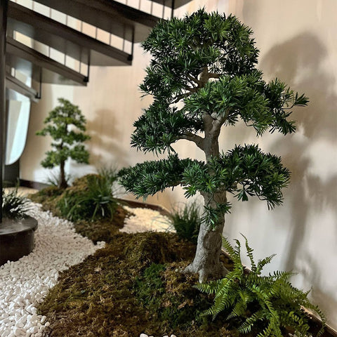 Bonsai Plant Arrangement for display purposes only (non-sale)
