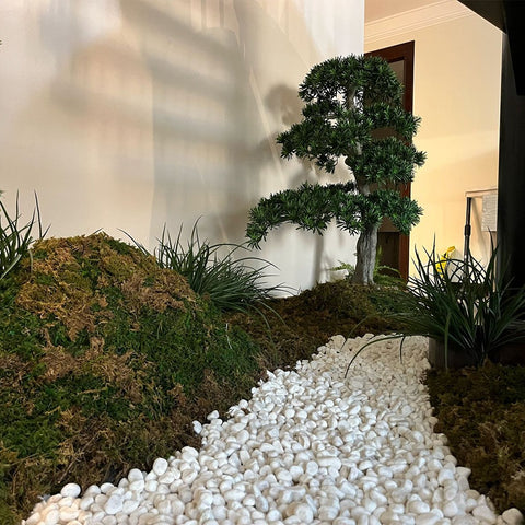 Bonsai Plant Arrangement for display purposes only (non-sale)