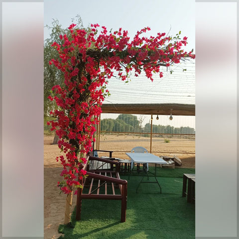 Bougainvillea flower decoration